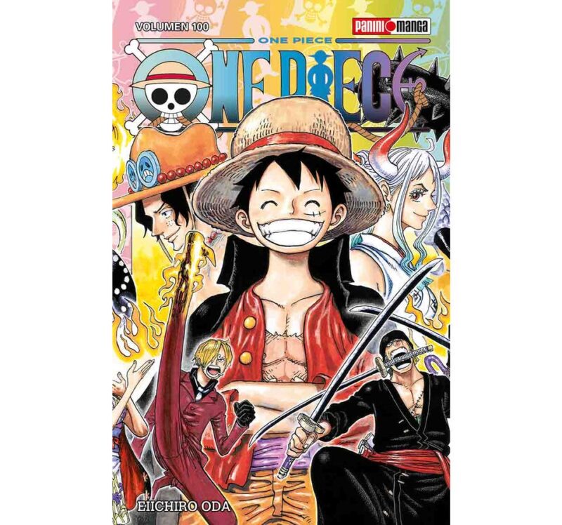 ONE PIECE 100