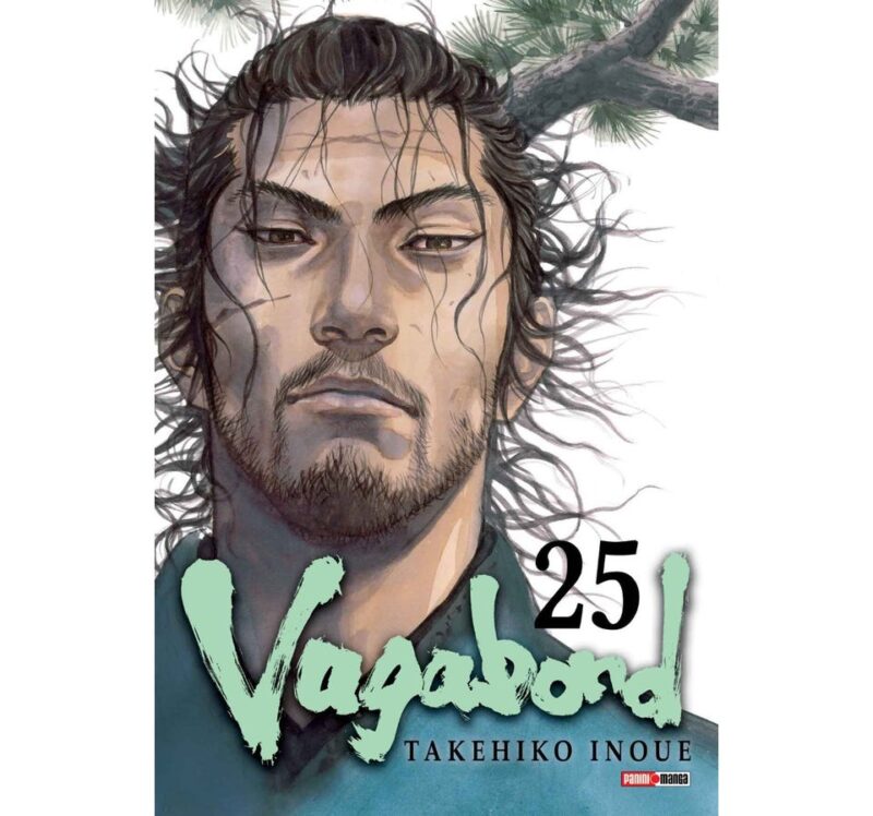 VAGABOND 25